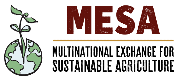 MESA